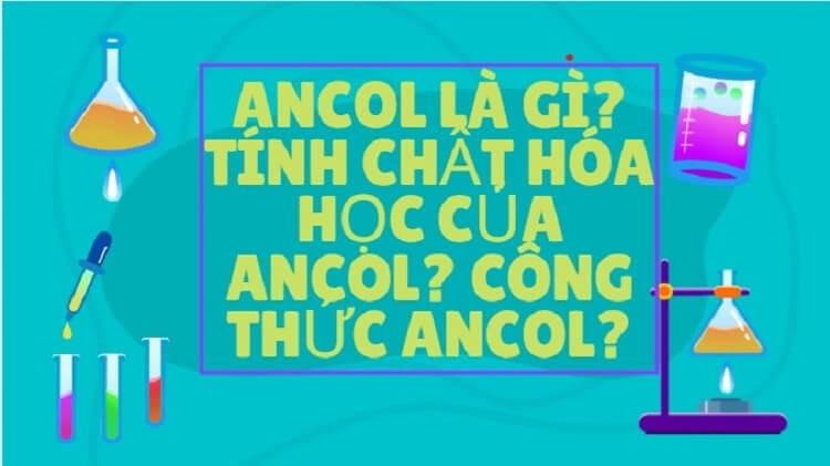 Ancol là gì? (Ảnh: Sưu tầm Internet)