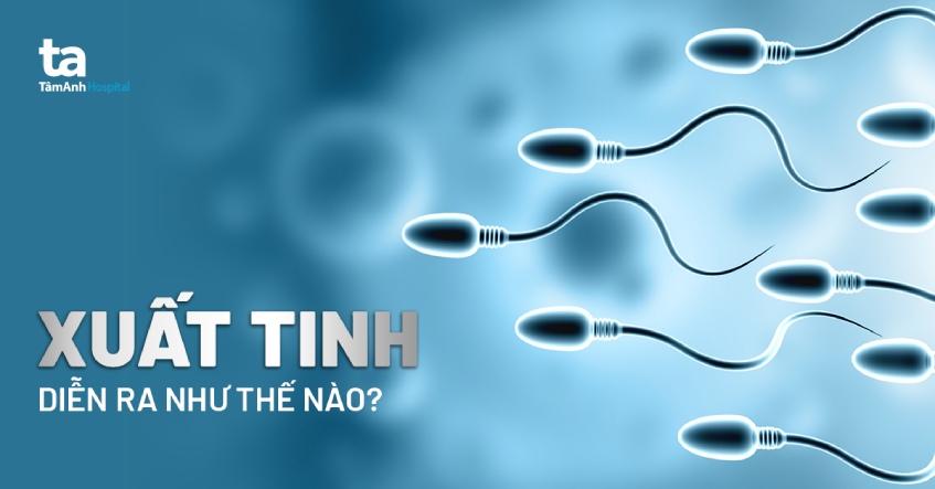 Nhịn xuất tinh, kiềm chế xuất tinh có sao không? Có hại gì không?