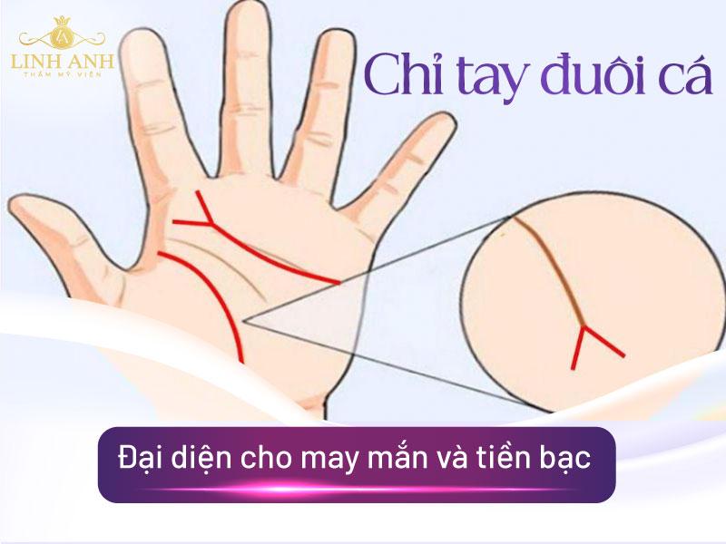 đường chỉ tay đuôi cá