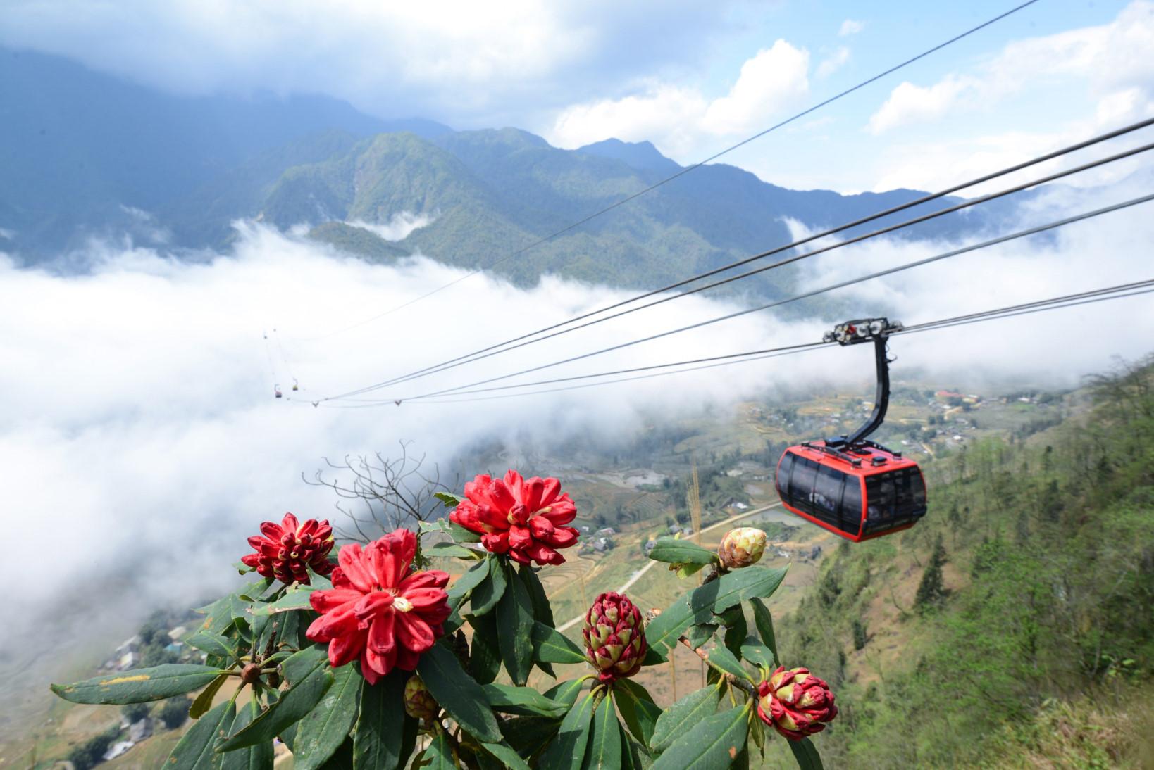 Báo Sapa - Tin tức cho người Sapa