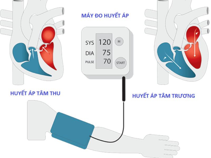 Huyết áp tâm trương cao uống thuốc gì? Biện pháp phòng ngừa tăng huyết áp tâm trương