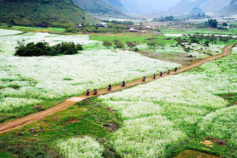 Kinh nghiệm du lịch Mộc Châu tháng 10