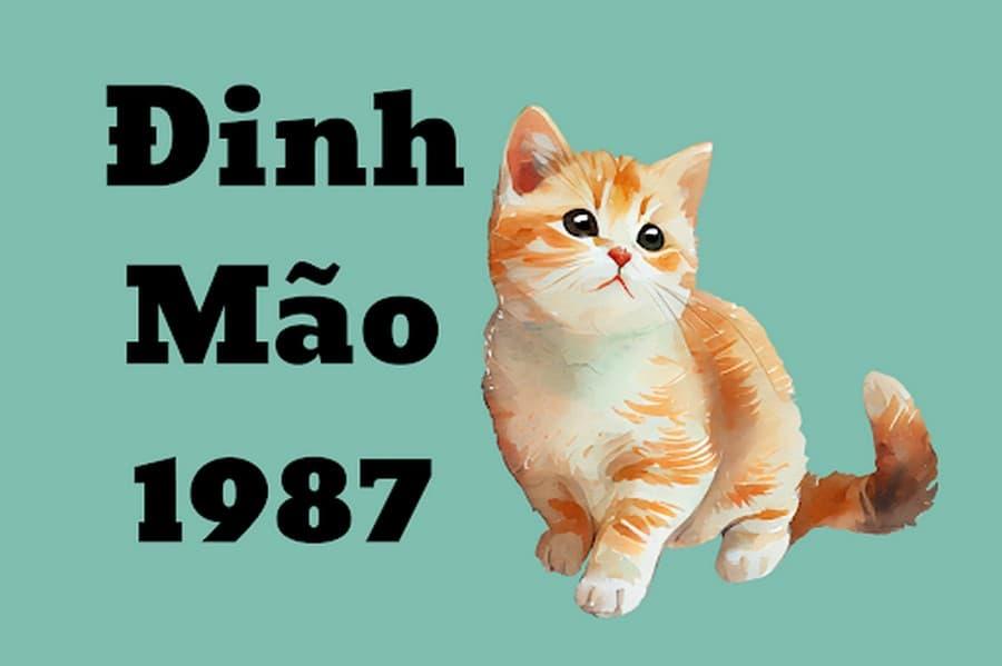 Sinh năm 1987 mệnh gì? Đinh Mão hợp với tuổi nào, màu nào?