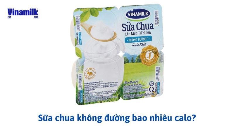 SỮA CHUA KHÔNG ĐƯỜNG BAO NHIÊU CALO? ĂN NHƯ THẾ NÀO ĐỂ KHÔNG BÉO?