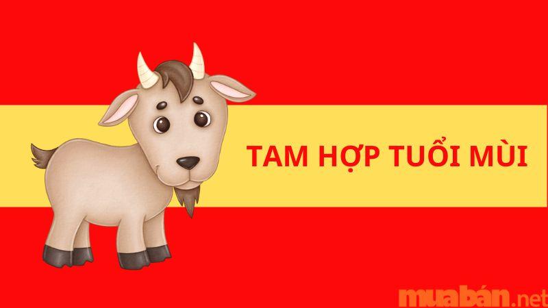 tam hợp với tuổi mùi