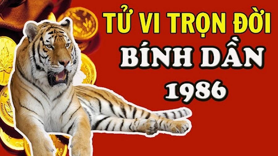 Tử vi tuổi Bính Dần 1986 năm 2024: Vận trình chi tiết