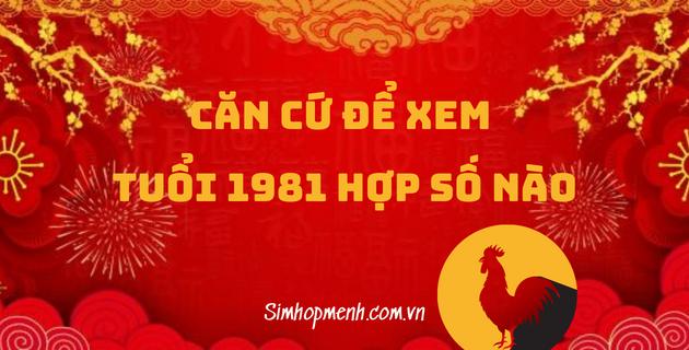 Tuổi Tân Dậu 1981 hợp với số nào thì hút may mắn kích tài lộc?