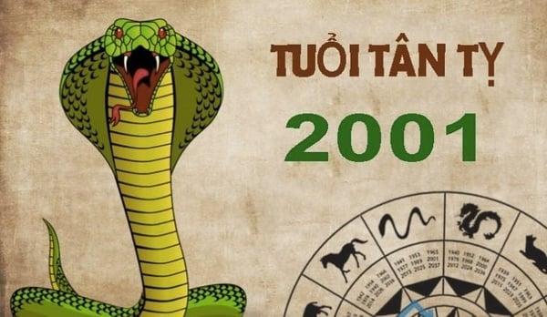 Tử vi 2001 tuổi Tân Tỵ: Tổng quan về vận mệnh, tình yêu, sự nghiệp