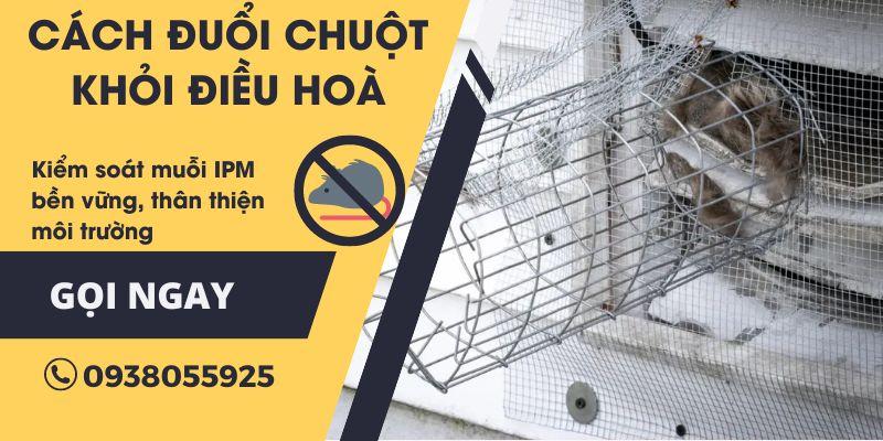 Cách đuổi chuột ra khỏi điều hoà – dễ làm – một lần đuổi vĩnh viễn