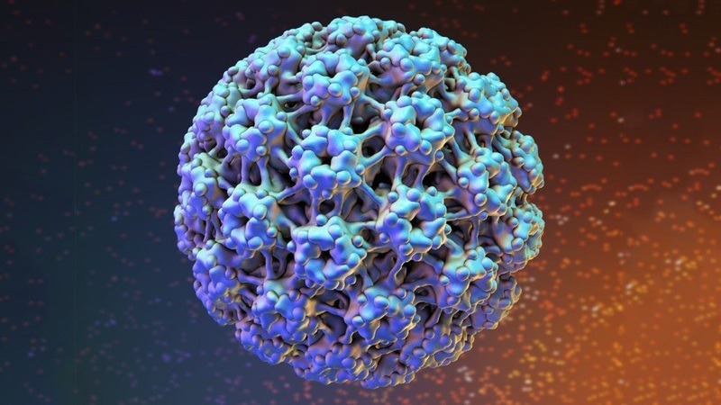 Nhiễm virus HPV type 6 có nguy hiểm không?