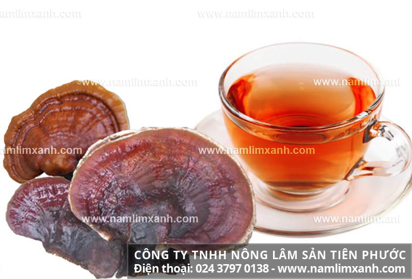 11 tác dụng của nấm lim xanh tốt cho sức khỏe và cách dùng an toàn