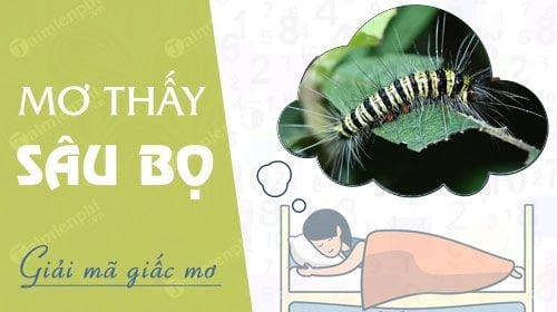 Mơ thấy sâu bọ, con sâu xanh, sâu róm đen