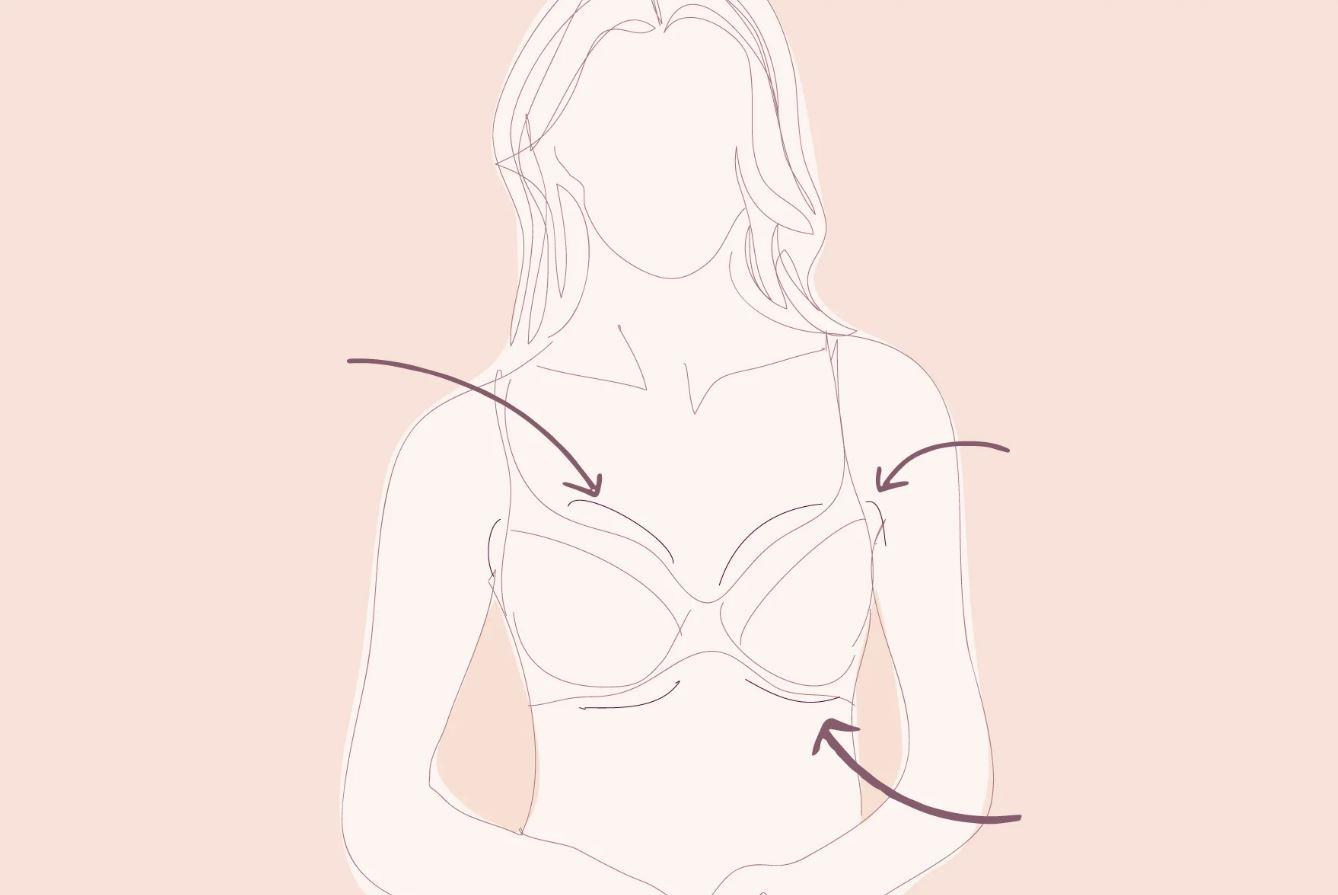 Cup ngực A B C là gì? Phân loại và cách đo size áo ngực chính xác nhất