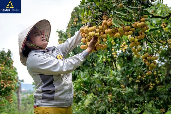 Những điều cần biết khi đi du lịch miền Tây mùa hè