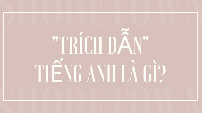 "Trích Dẫn" trong Tiếng Anh là gì: Định Nghĩa, Ví Dụ Anh Việt