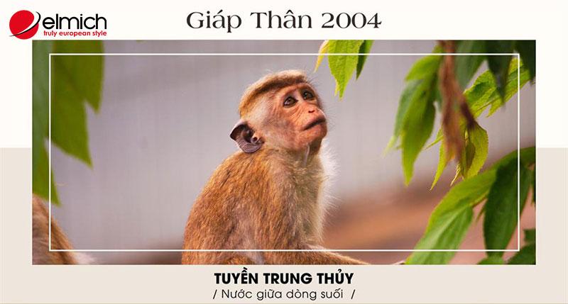 Tuổi Giáp Thân 2004 Hợp Nghề Gì Để Mang Lại Thành Công?