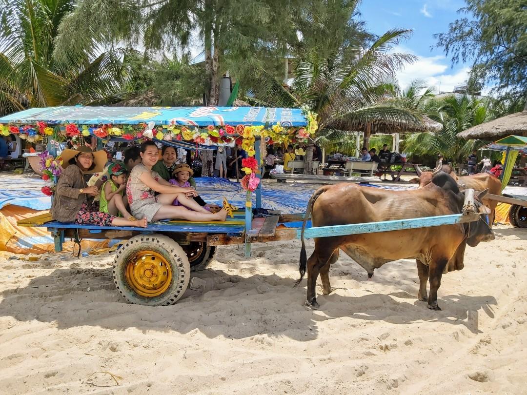 Kinh nghiệm du lịch biển Cam Bình - Lagi | Tour Phan Thiết Mũi Né