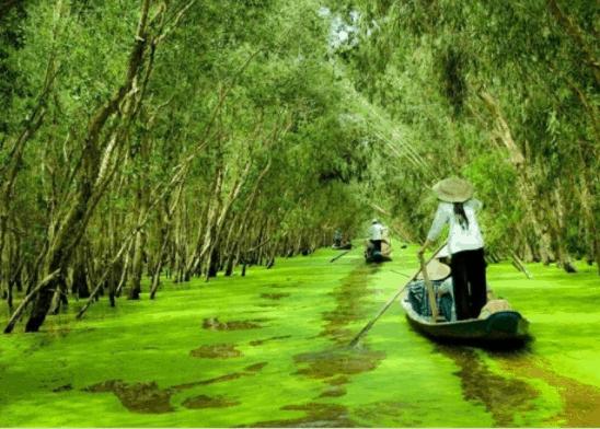 ĐIỂM DU LỊCH LONG AN