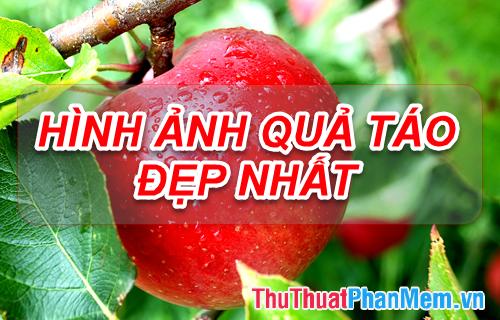 Hình ảnh đẹp nhất của quả Táo