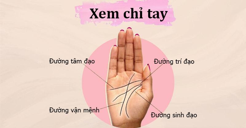 Xem chỉ tay là gì? Luận giải các đường chỉ tay cơ bản