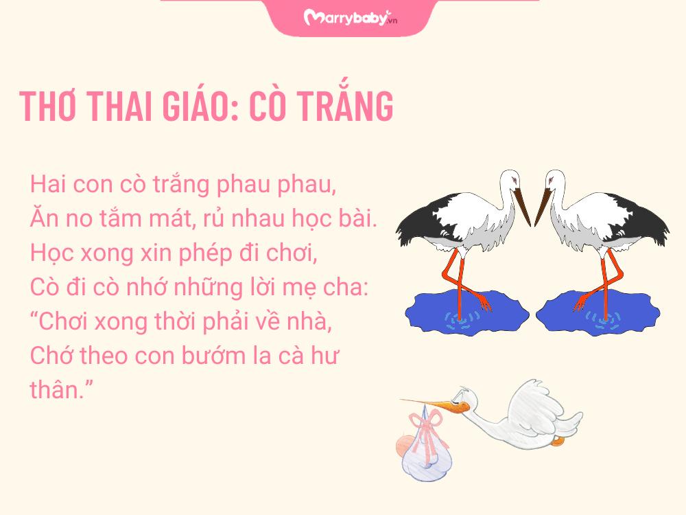 Hình ảnh thơ cho thai nhi: Con cò trắng