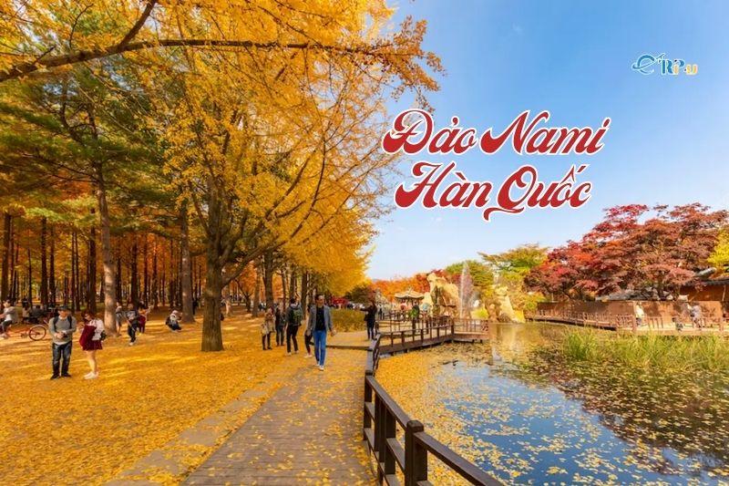 Đảo Nami Hàn Quốc - Thiên đường bản tình ca mùa đông