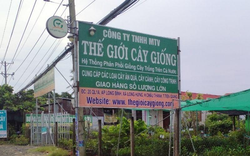 Hệ thống cửa hàng công ty Thế Giới Cây Giống