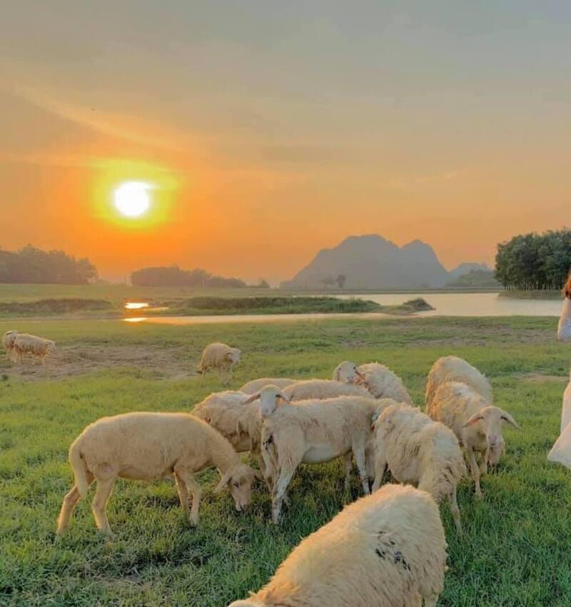 Doi cuu Ninh Binh 1