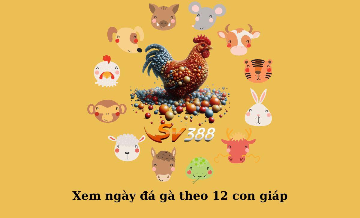 Bí kíp xem ngày đá gà theo: màu mạng, 12 con giáp cực chính xác