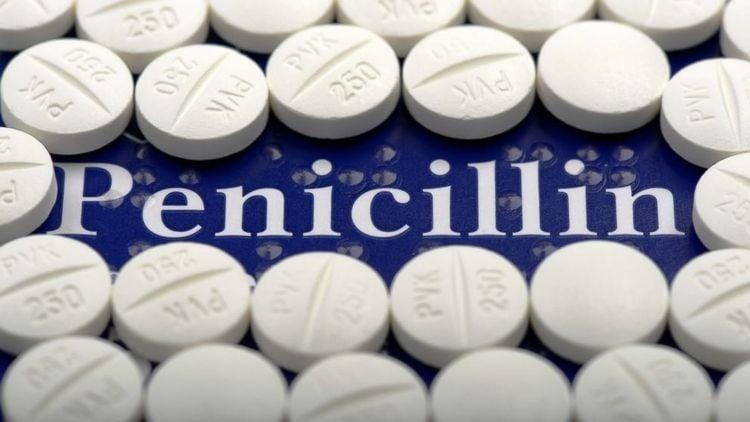 Penicillin là một nhóm thuốc kháng khuẩn có thể tấn công và tiêu diệt nhiều loại vi khuẩn