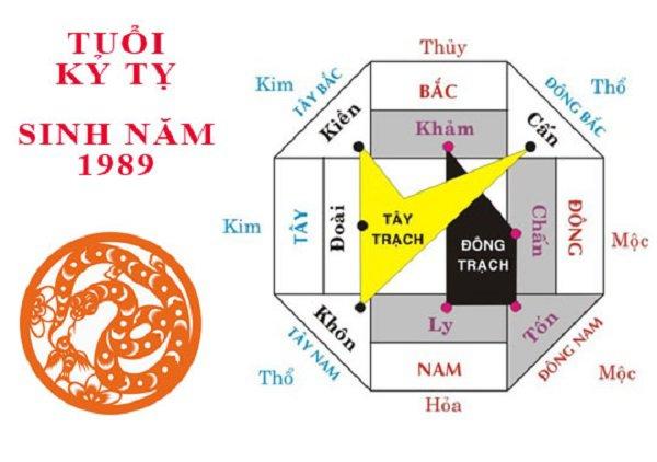 Sinh năm 1989 mệnh gì? Xây nhà hướng nào để túi tiền tuổi Kỷ Tỵ lúc nào cũng rủng rỉnh? - 2